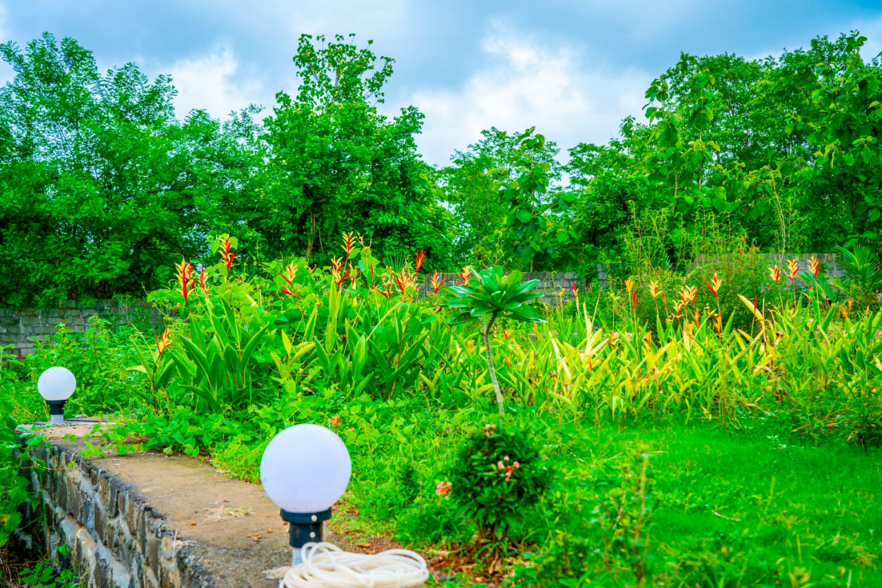 Landscape at S.K. Agro Tourism
