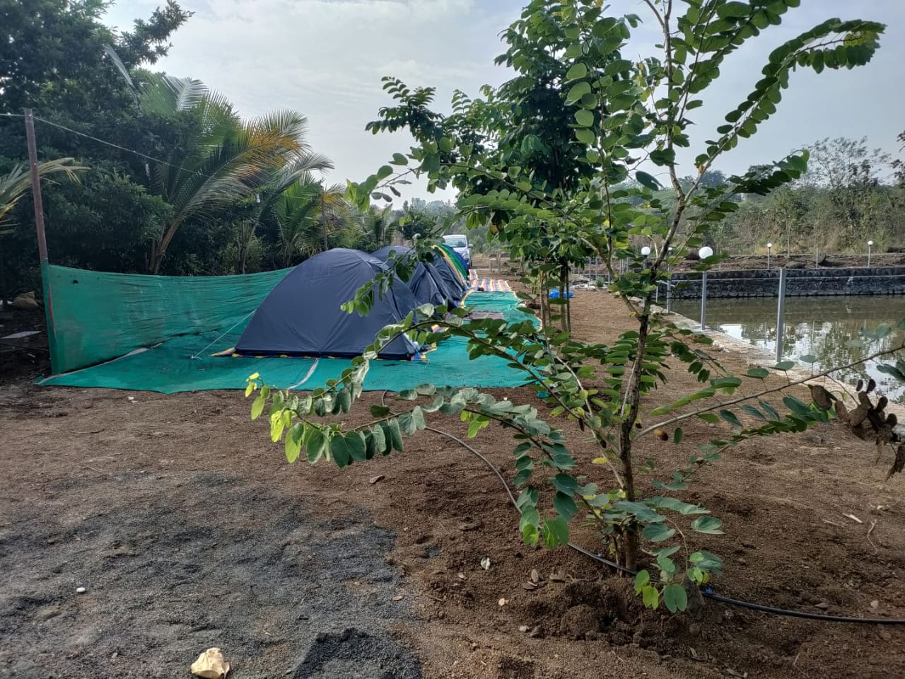 Outdoor setup at the property