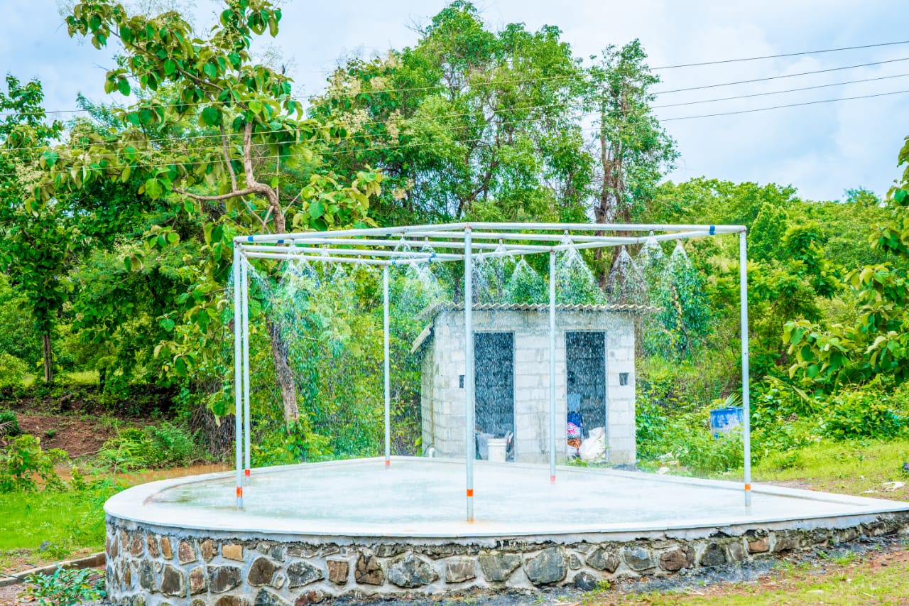 Green surroundings and water area at S.K. Agro Tourism